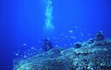Dive Club Maldives