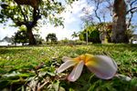 Cairns Heritage City Walk