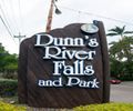Dunn's River Falls