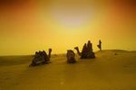Pushkar Camel Safari Tours