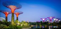 Gardens By The Bay
