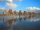 Broome Camel Safaris