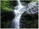 Shimla Glen
