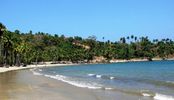 Carbyn's Cove Beach