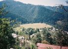Anadale