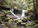 Hiking In Mt Field National Park