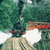 Aussie Cattle Farm, Phillip Island, Puffing Billy