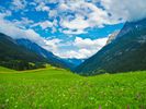 Valley Of Flowers National Park, India