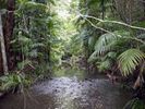 Sherwood Nature Reserve