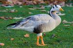 Magadi Bird Sanctuary