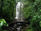 Wayanad View Point