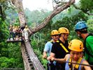 Flight Of The Gibbon
