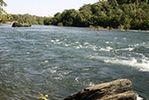 Dandeli