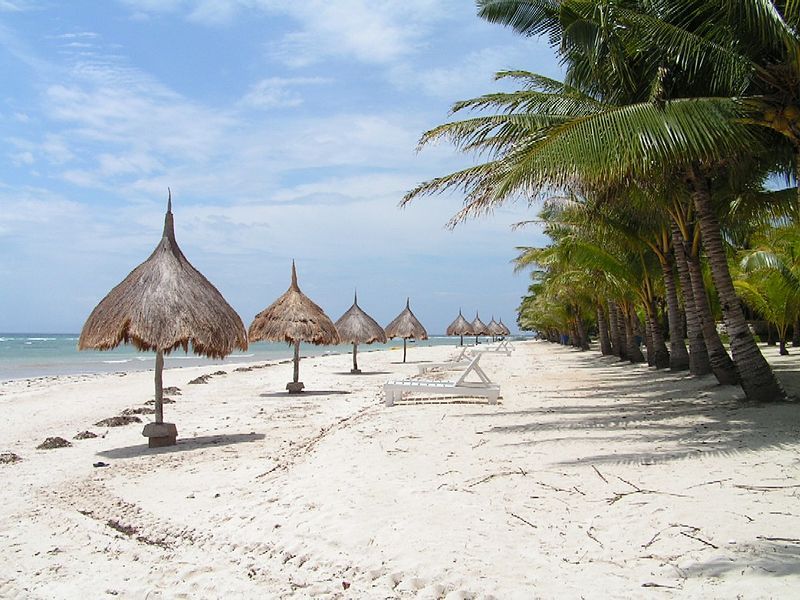 Explore Bohol Holiday Package In Alona 42 Resort Tripfactory - 